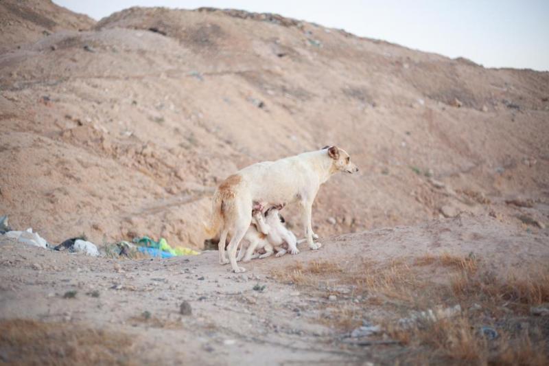 הרשמה להסעה: שיח גלריה 