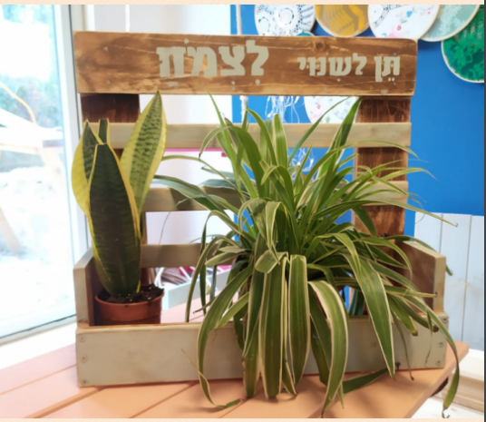 טרילוגיית סדנאות DIY במרכז הצעירים